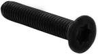 RISON Titanium Screws M3 X 10mm Titanium Torx Countersunk Screws 10Pcs Black Titanium Bolts ISO14581 Flat Torx Drive Titanium Screw GR2 Titanium Screws