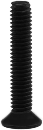 RISON Titanium Screws M3 X 10mm Titanium Torx Countersunk Screws 10Pcs Black Titanium Bolts ISO14581 Flat Torx Drive Titanium Screw GR2 Titanium Screws