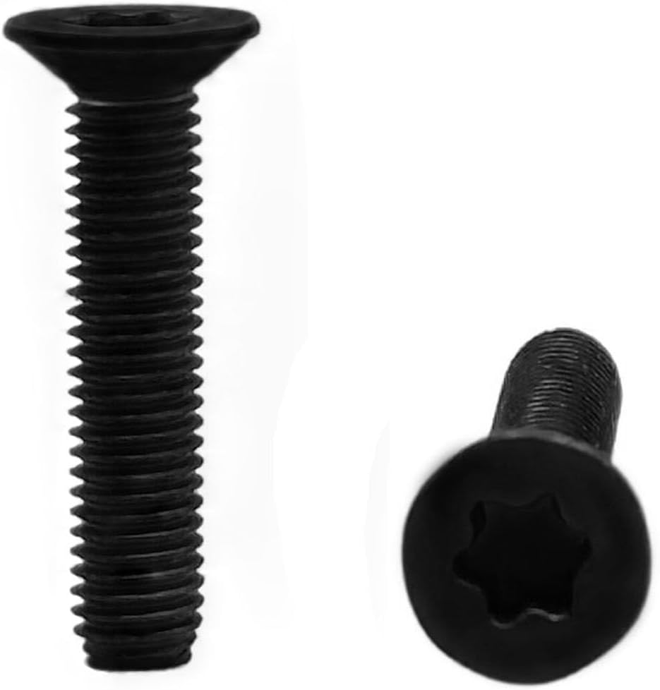 RISON Titanium Screws M3 X 10mm Titanium Torx Countersunk Screws 10Pcs Black Titanium Bolts ISO14581 Flat Torx Drive Titanium Screw GR2 Titanium Screws