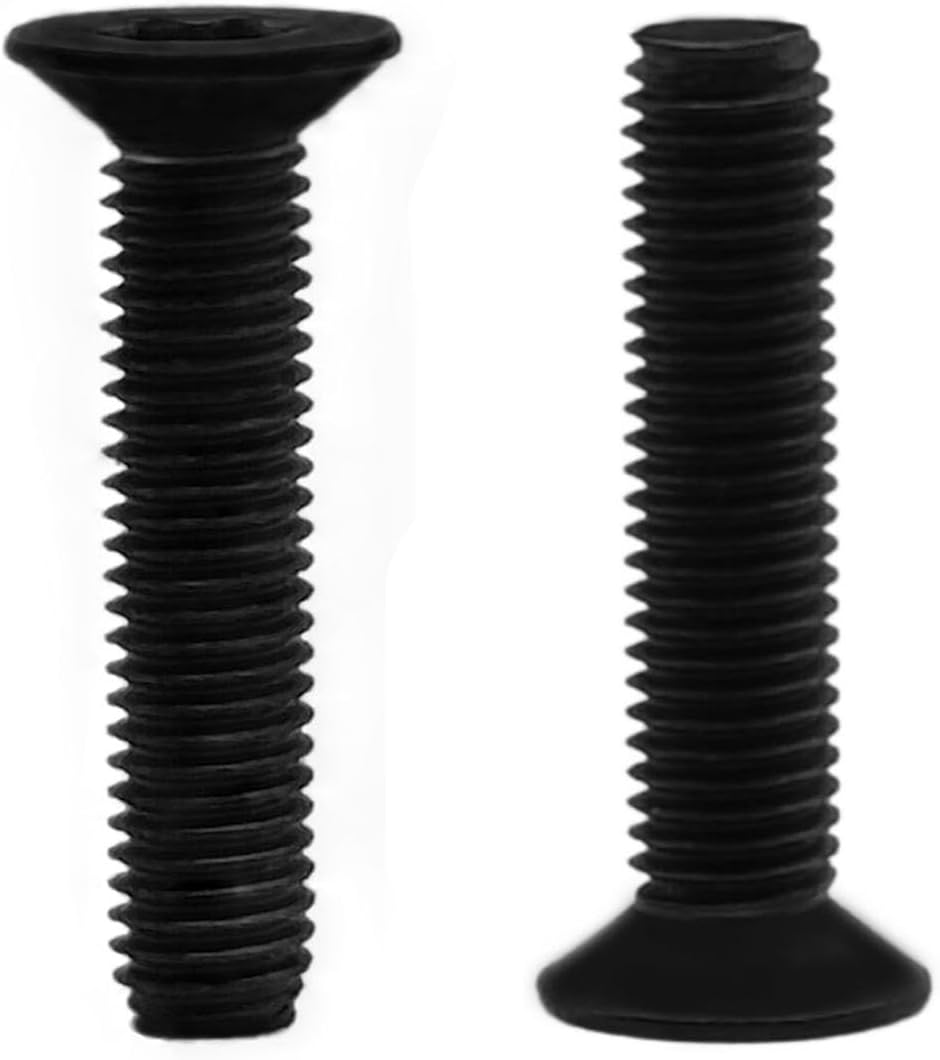 RISON Titanium Screws M3 X 10mm Titanium Torx Countersunk Screws 10Pcs Black Titanium Bolts ISO14581 Flat Torx Drive Titanium Screw GR2 Titanium Screws